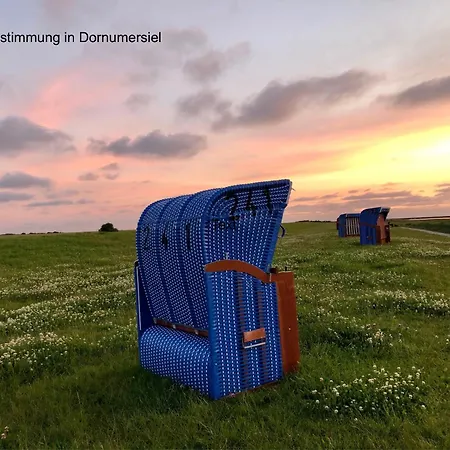 Austernfischer, Mit Sielblick *