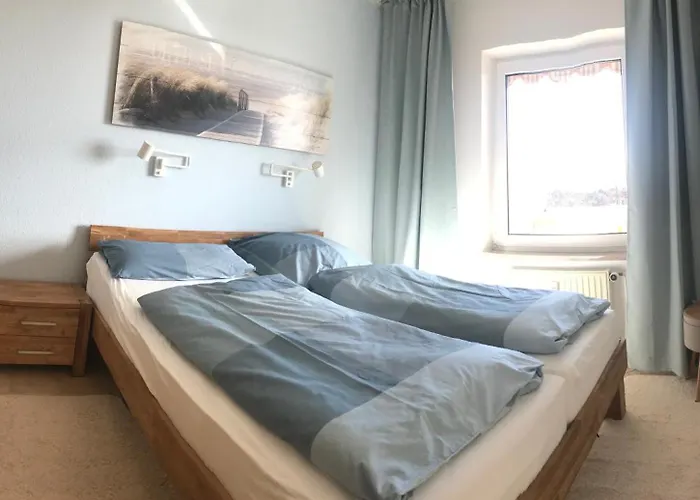 Daire Austernfischer, Mit Sielblick *