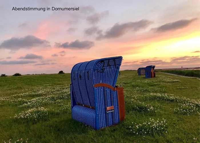 Austernfischer, Mit Sielblick *