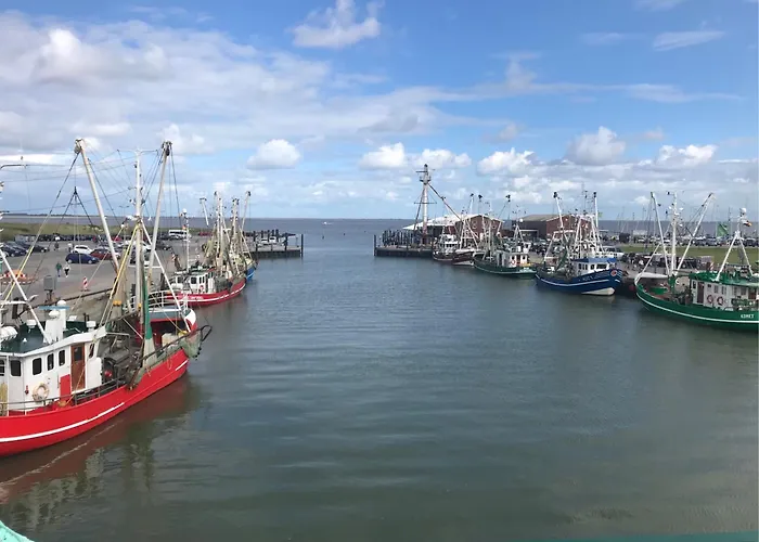 Austernfischer, Mit Sielblick